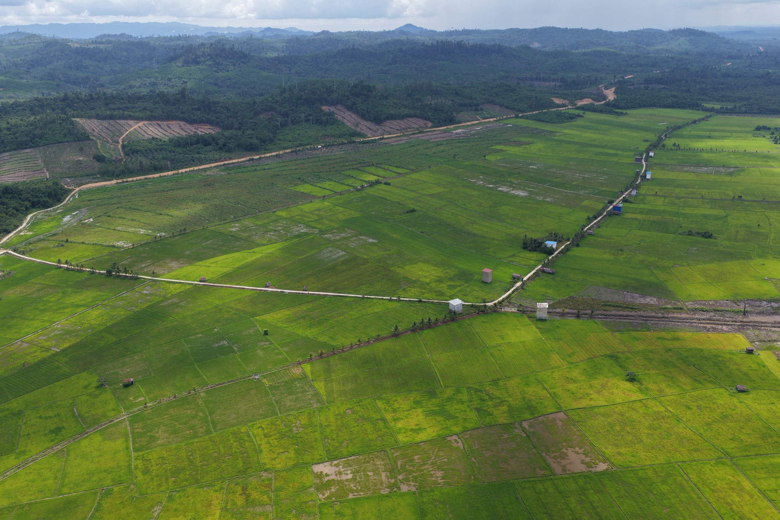 Hamparan sawah Daerah Irigasi Buyung, Kalimantan Timur